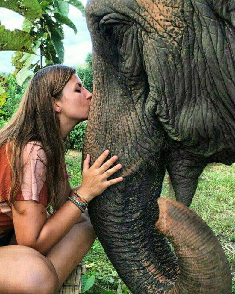 Please, don't ride elephants! Just give them your love 🐘!