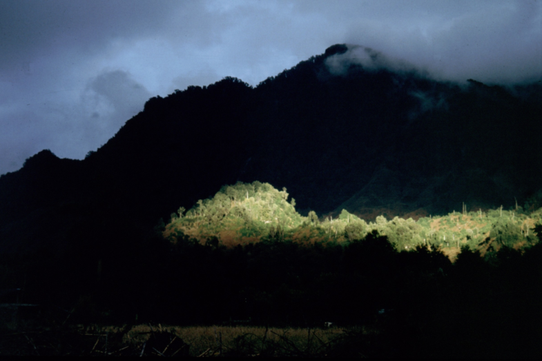 Na regen kwam zonneschijn in Pueyehue Nationaal Park