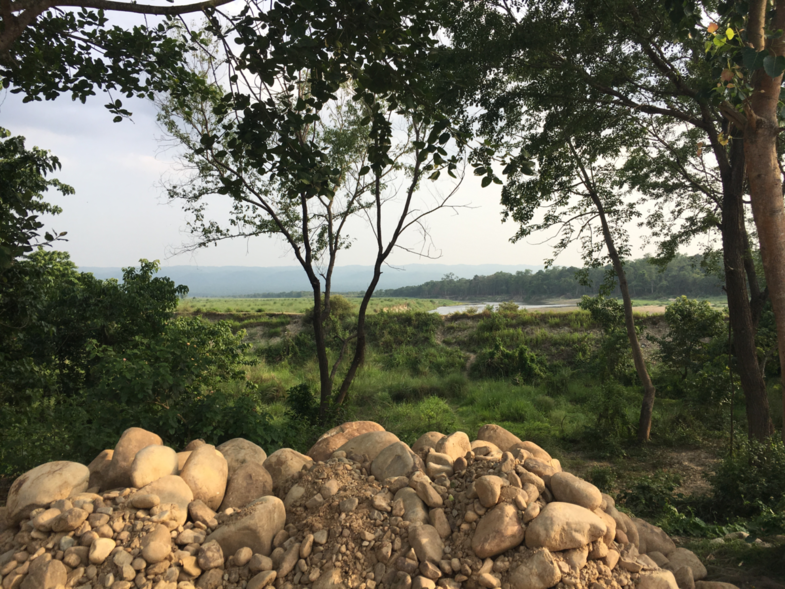 The edge of the mystical jungles of chitwan