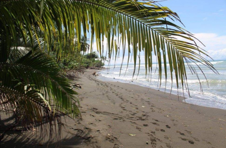 Strand Corcovado Nacional parque