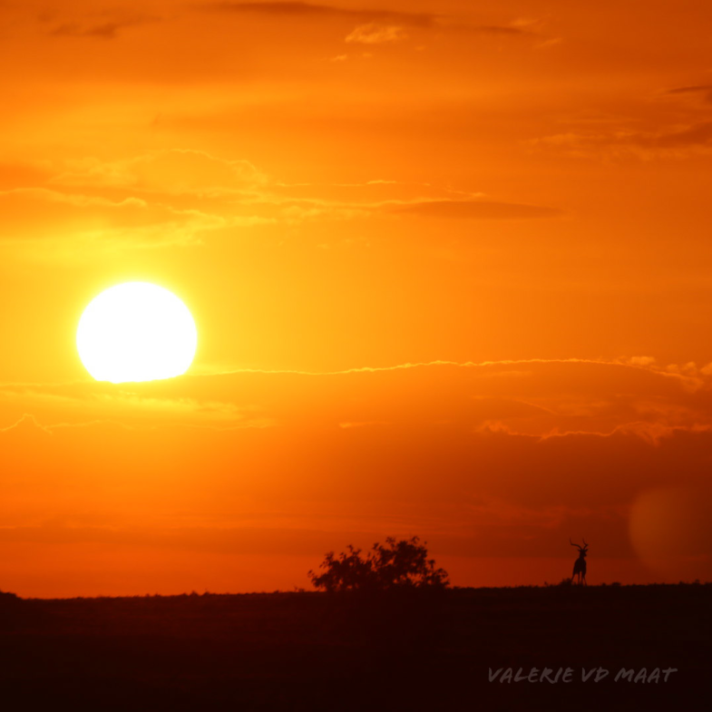 Vurige zonsondergang Kenia