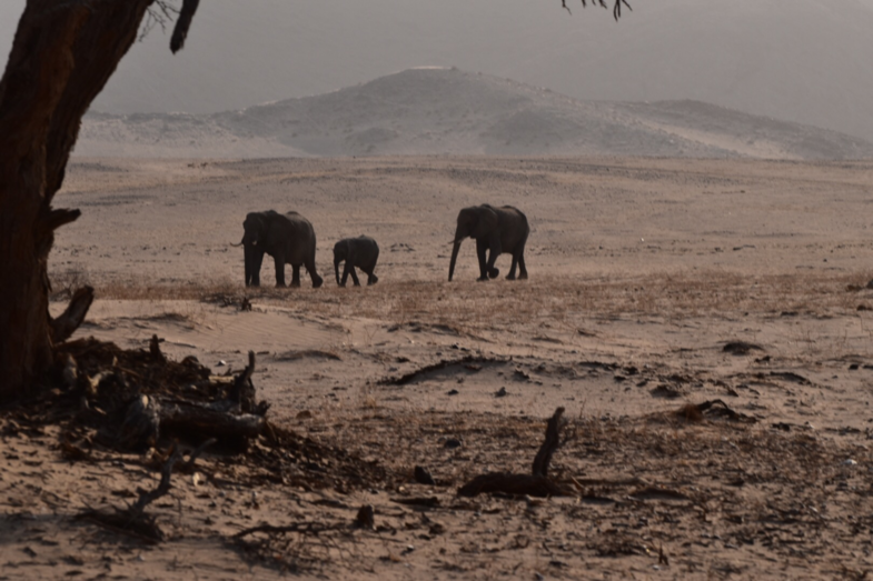 Travelling towards peace