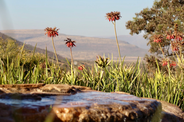 Ontspanning in Afrika