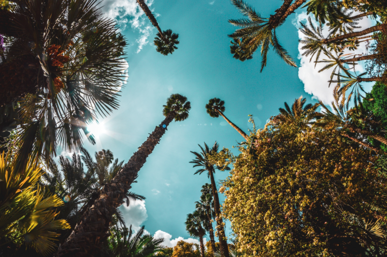 Catching sun flares 🏜️