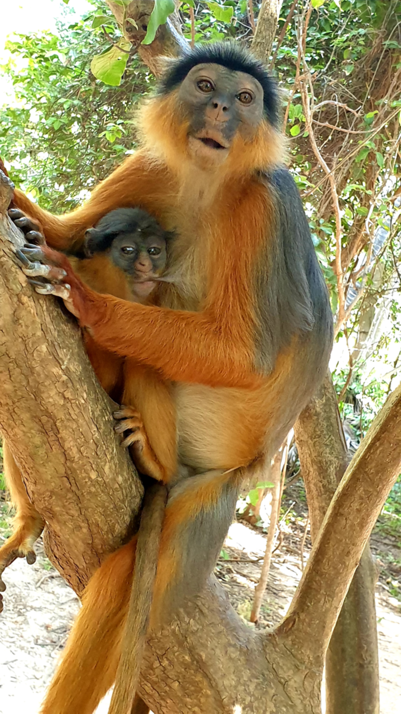 Moeder natuur op zijn puurst <3