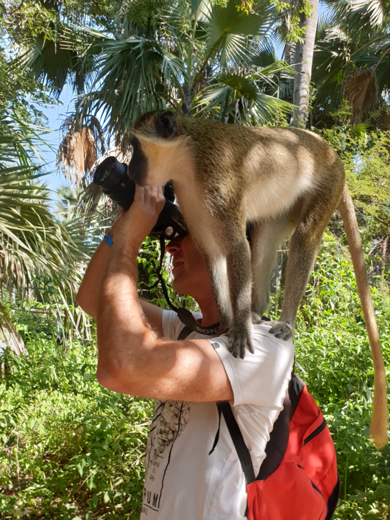Sta je serieus je mooiste vakantiefoto te maken, komt er opeens een aap uit je mouw!
