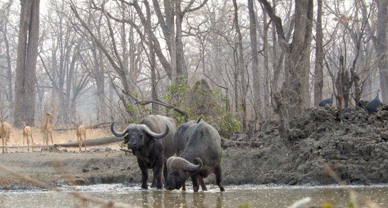 Ochtend ritueel - wachten op je beurt