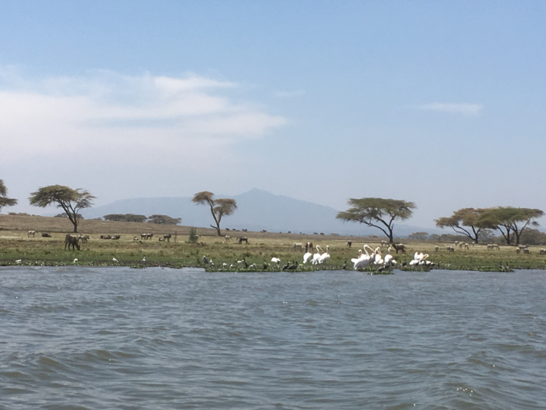 Locatie film Out of Africa. Naivashameer.