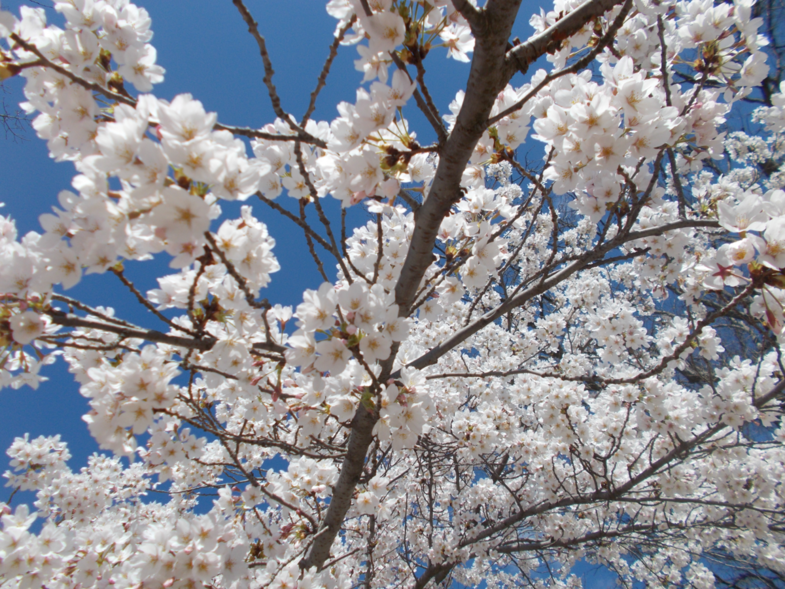 Special moments  Washington