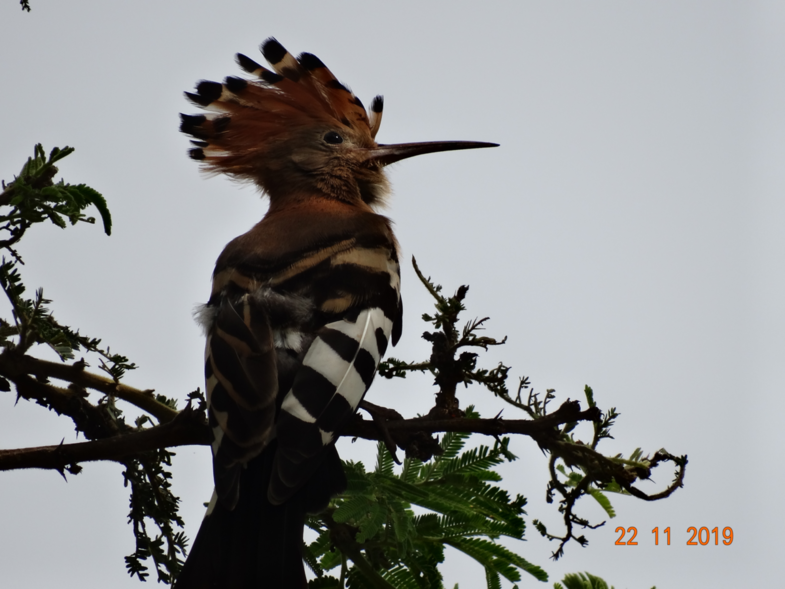 Hoe mooi kan je zijn ....