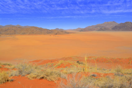 Beauty of the Namib Desert