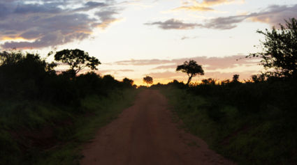 The Road Through Africa