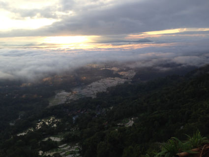 Toraja Morning View