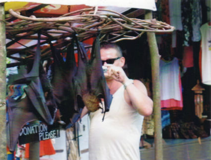 op de markt kon je de vleerhonden zo groot waren ze aanraken best wel zielig