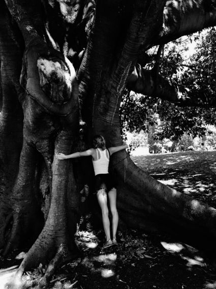 Tree hugging Botanical garden