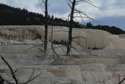 Yellowstone mammoth hotsprings
