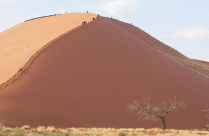 Dune 24 in de Sossusvlei