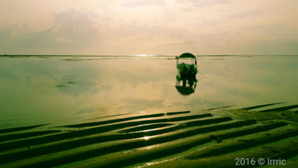 Sanur wake-up