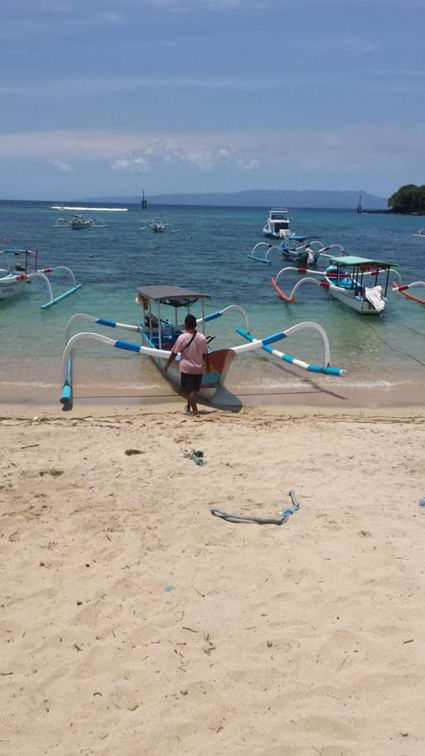 De prauw het typische balinese vissersbootje. Dolfijnen spotten.