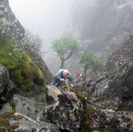 rwenzori N.P.
