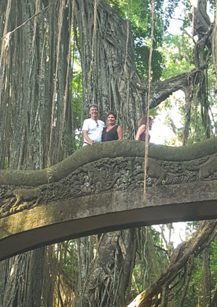 MONKEY FOREST Ubud / Bali - Indonesie