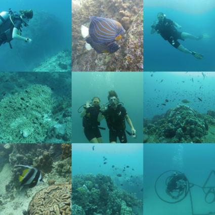 Duiken op koh tao