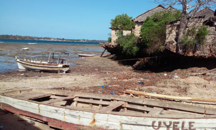 uitzicht vanaf Wasini island