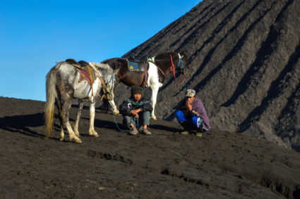 Paarden op de Bromo genieten van hun welverdiende rust...