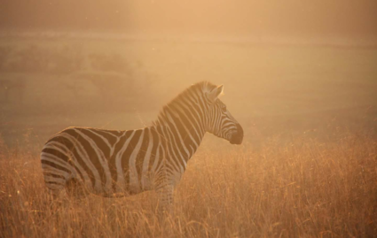 African sunset!