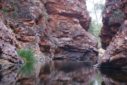 Rockpool @West MacDonnel Ranges (Alice Springs)