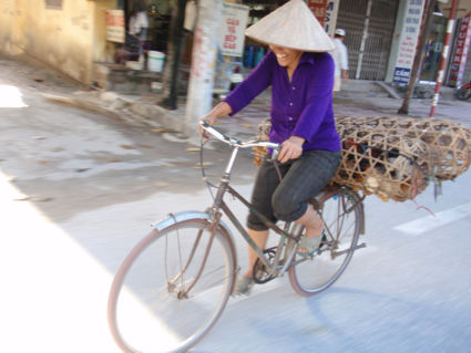 Schaterende lach van Vietnamese vrouw op de fiets met kippen achterop.