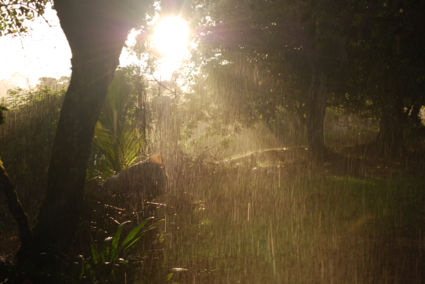 Regen en zon in Suriname  :-)
