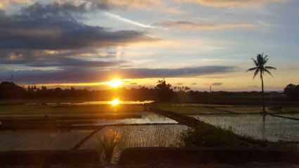 zonsondergang over rijstvelden