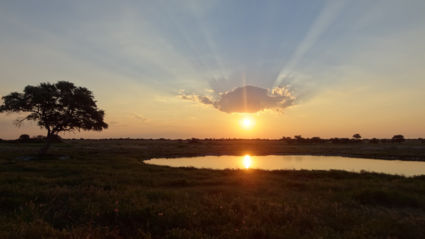 Sunset Etosha National Park