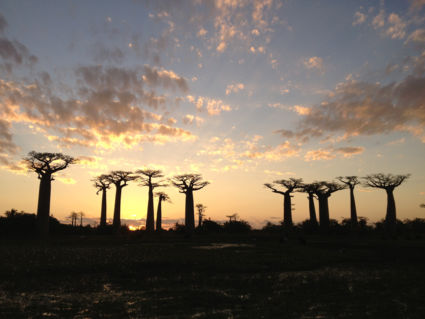 Zonsondergang in Madagascar