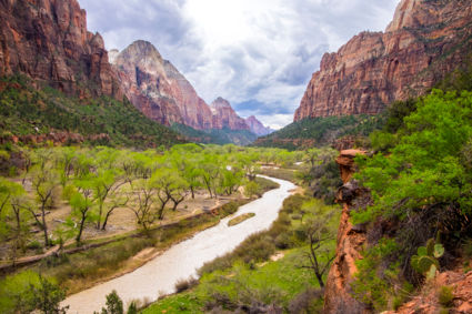 Zion in spring