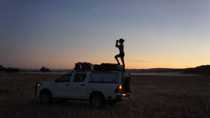 Looking for wildlife in the middle of the desert