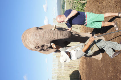 De olifant met de gids en fan Ronny kon een snoepje geven...oef..