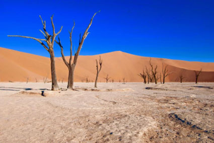 Sossusvlei/Deadvlei Namibië