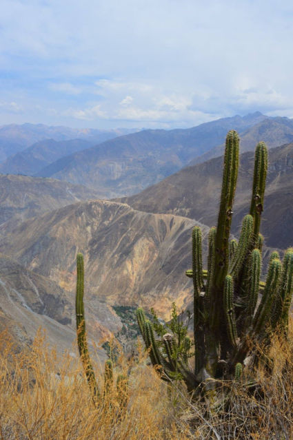 Colca Canyon