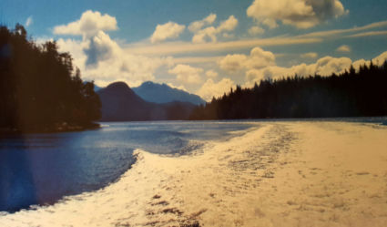 Vergezicht Inside Passage