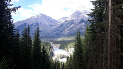 Even een koud biertje drinken met een adembenemend uitzicht (Wapta falls)