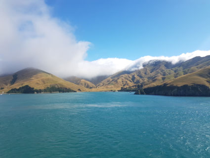 Laatste blik op het Zuidereiland,met de ferry naar het noordereiland!!