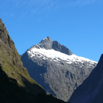 The way to Milford Sounds