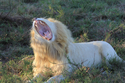 Kijk uit hier ben ik!!!