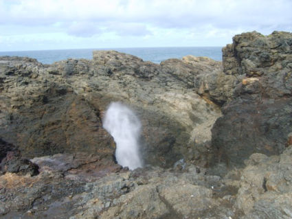 the blowhole (soft)