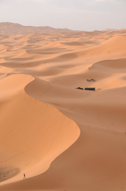 Lost in the desert