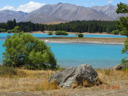 Lake Tekapo zuider eiland