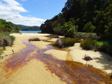Abel Tasman National Park zuider eiland