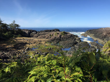 Wild Pacific Trail Ucluelet